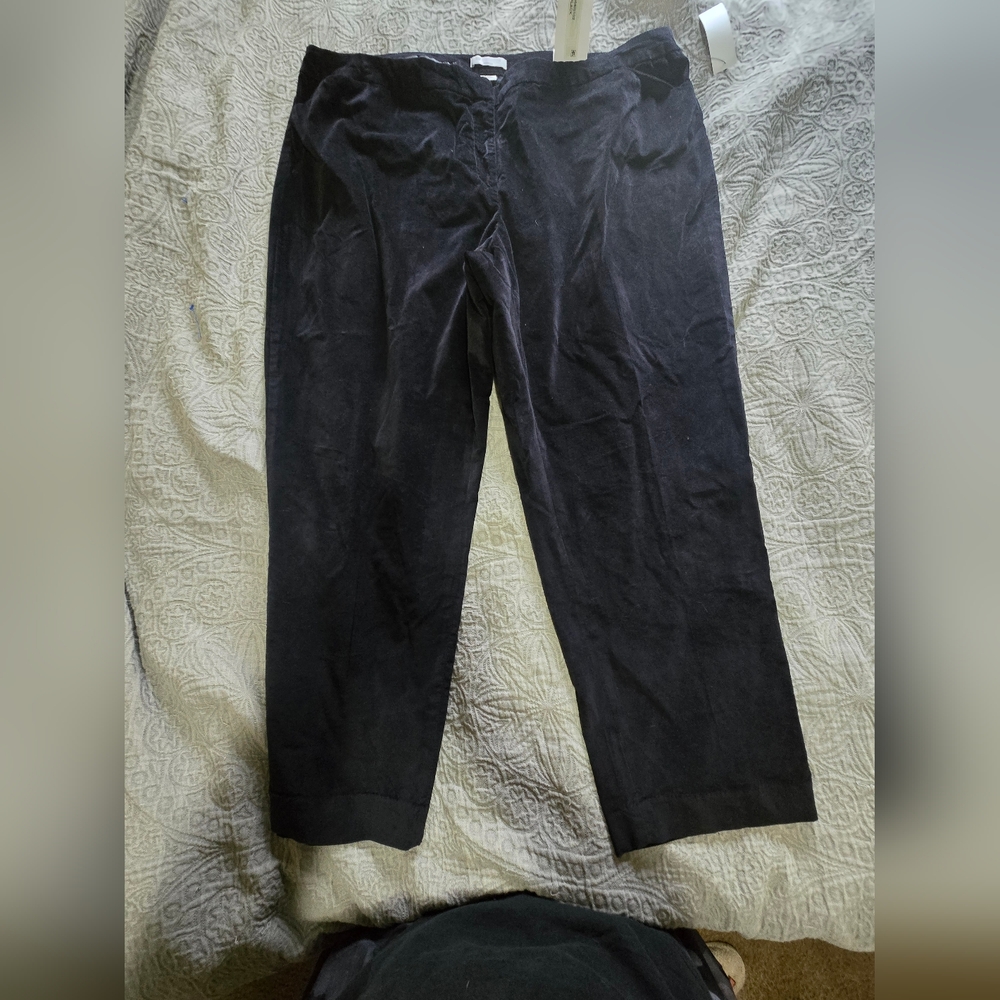 Liz Claiborne velvet pants